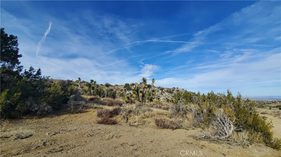 0 Vicinity Ross Road E, Juniper Hills, CA 93543 - #3
