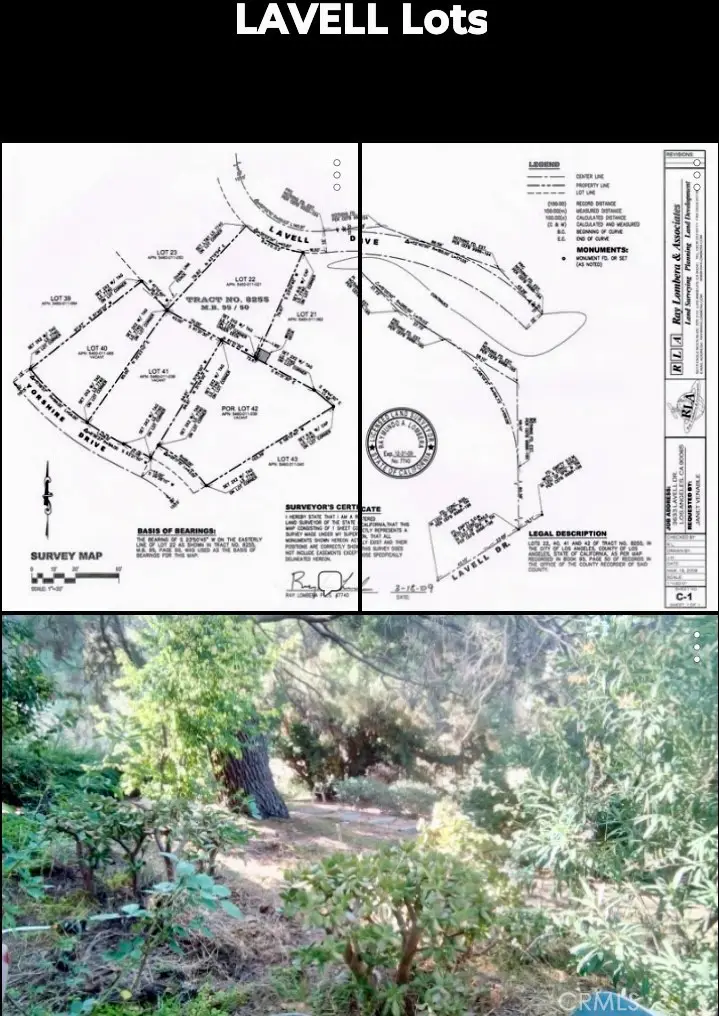 3633 Lavell Drive, Los Angeles, CA 90065 - Image #1