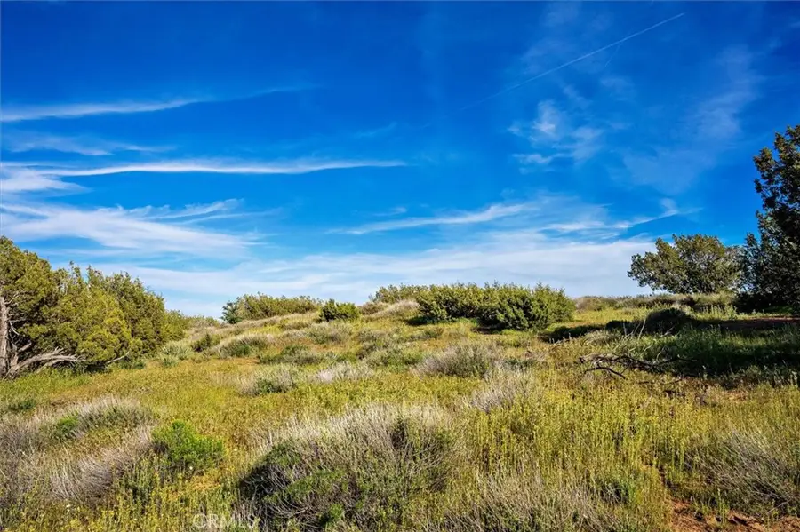 48725 Shallow Springs Road N, Leona Valley, CA 93551 - Image #2
