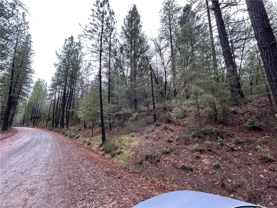 14550 Grizzly Hill, Nevada City, CA 95959 - #2
