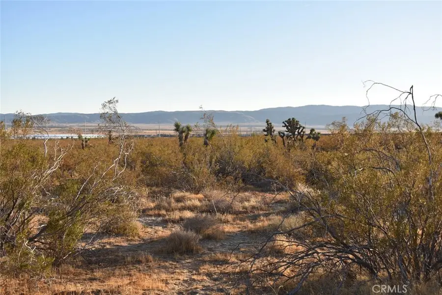 19300 Astoria Avenue, Rosamond, CA 93560 - Image #2