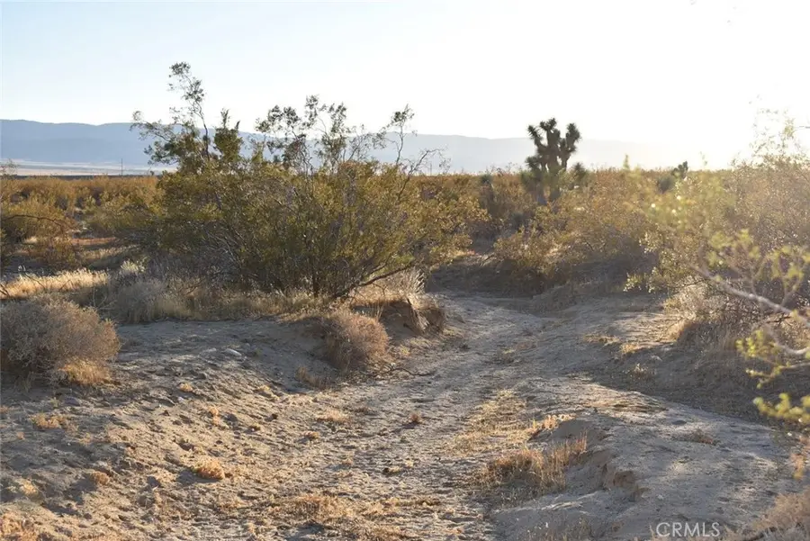 19300 Astoria Avenue, Rosamond, CA 93560 - Image #3