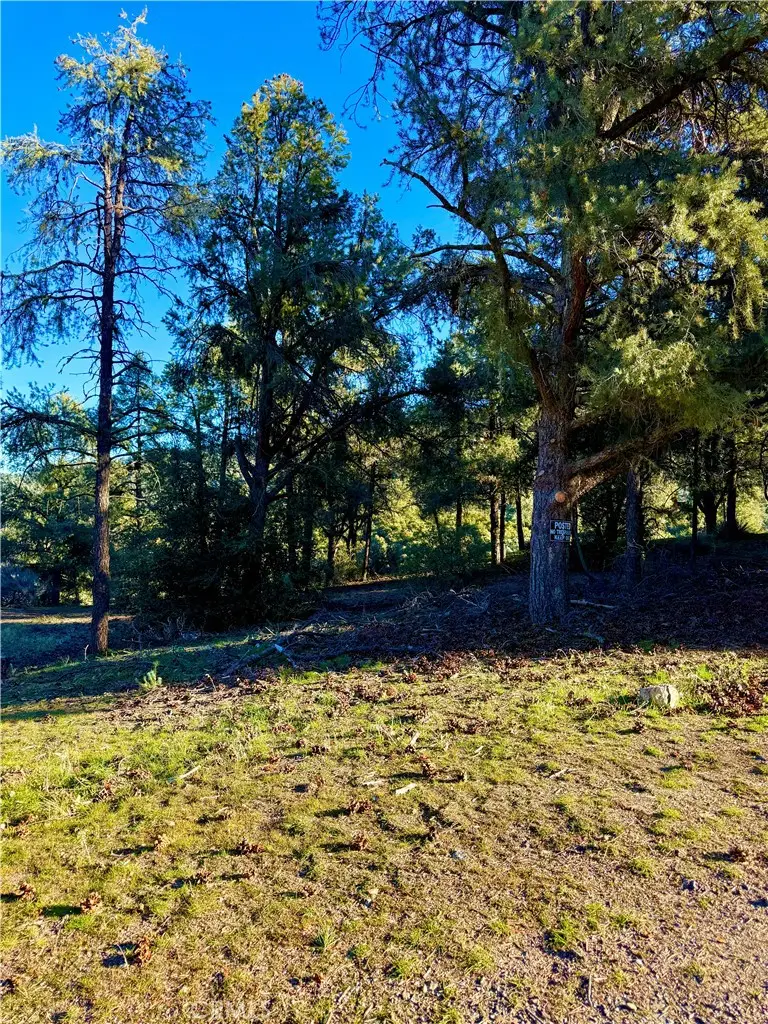 2608 Tirol, Pine Mountain Club, CA 93225 - #2