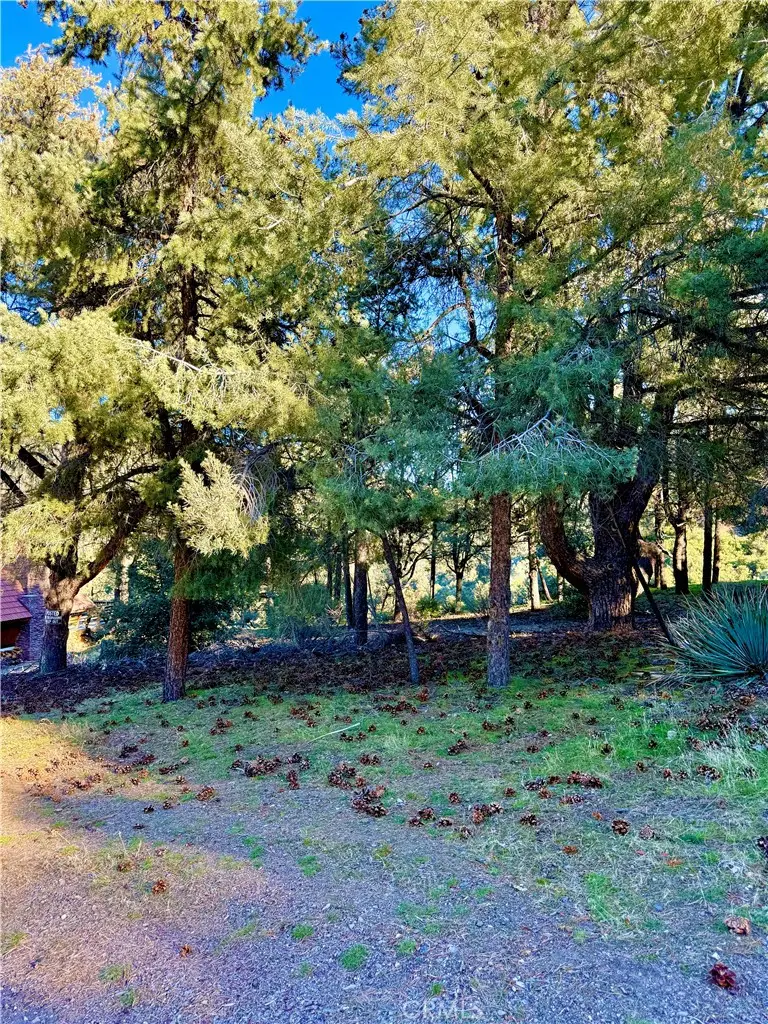 2608 Tirol, Pine Mountain Club, CA 93225 - #3