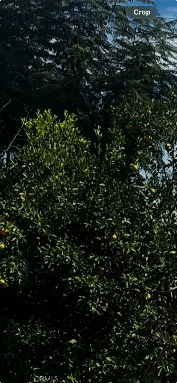 9667 Hillheaven Avenue, Tujunga, CA 91042