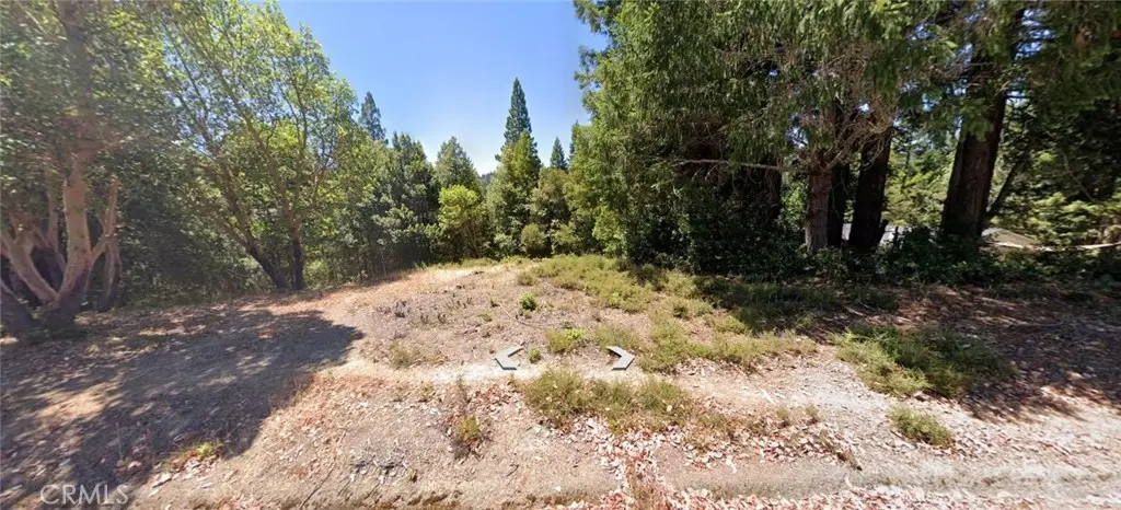 2252 Primrose, Willits, CA 95490 - #1