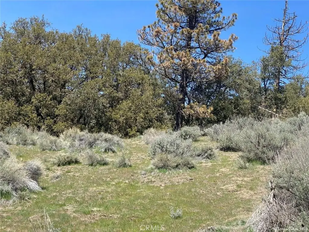 25301 Paramount, Tehachapi, CA 93561 - #1