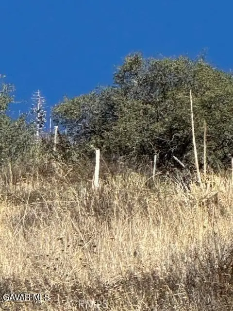 4700 Shannon View Road, Acton, CA 93510 - #3