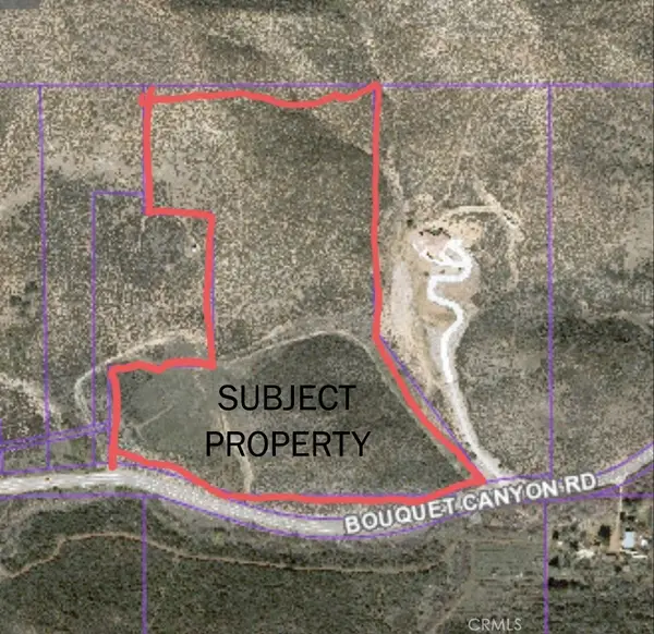 38351 Bouquet Canyon Road, Leona Valley, CA 93551