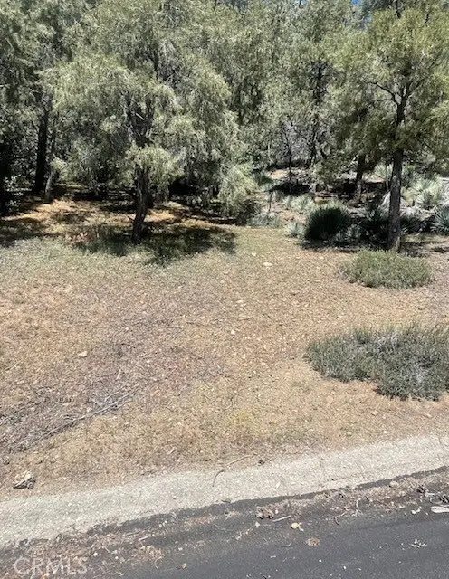 2165 Tyndall, Pine Mountain Club, CA 93222 - #2