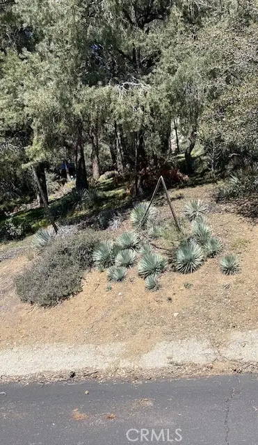 2165 Tyndall, Pine Mountain Club, CA 93222 - #3