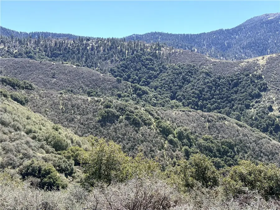 23320 Constance, Tehachapi, CA 93561 - #3