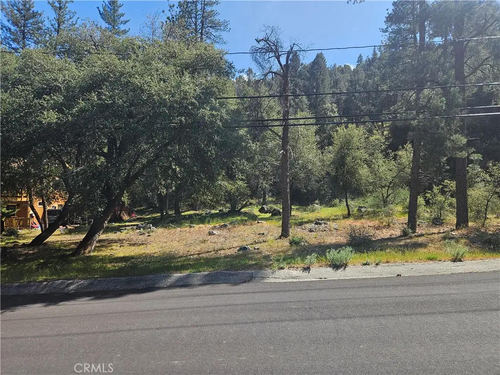 15716 Mil Potrero Highway, Pine Mountain Club, CA 93222 - #1