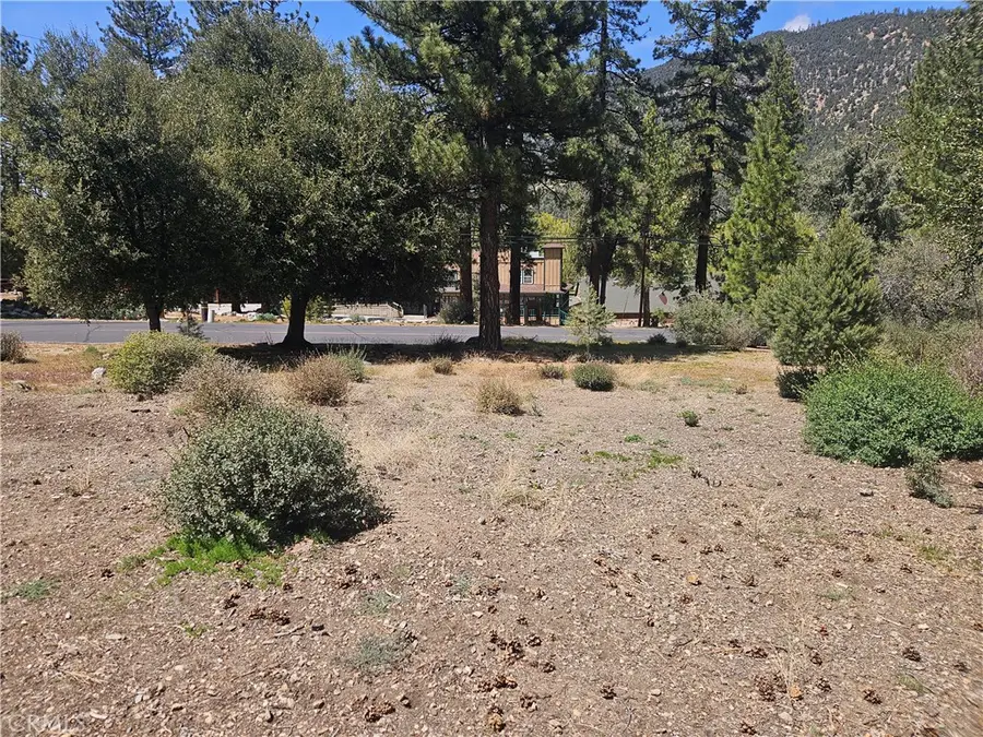 16210 Askin Drive, Pine Mountain Club, CA 93222 - #2