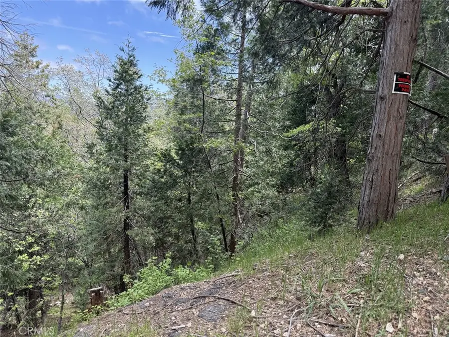 0 Alpine Court, Crestline, CA 92325 - #2