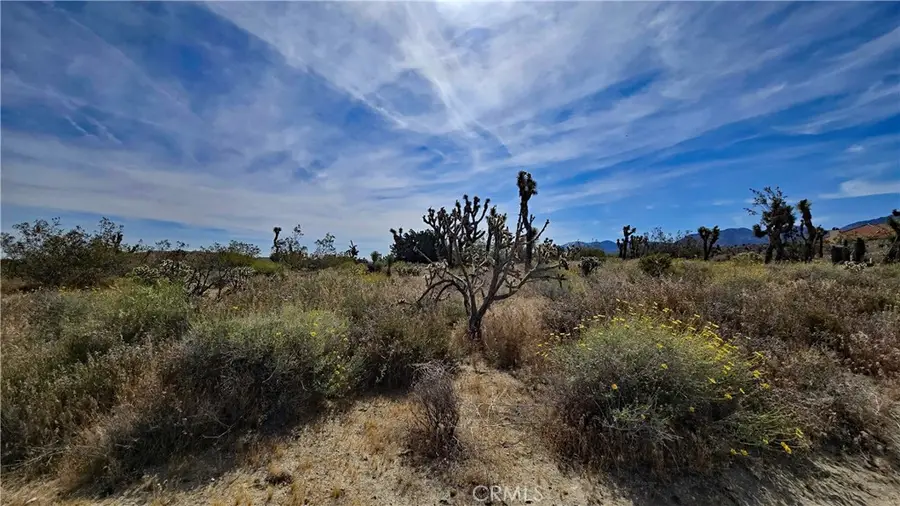 0 103rd St East Vicinity W14, Juniper Hills, CA 93543 - #2