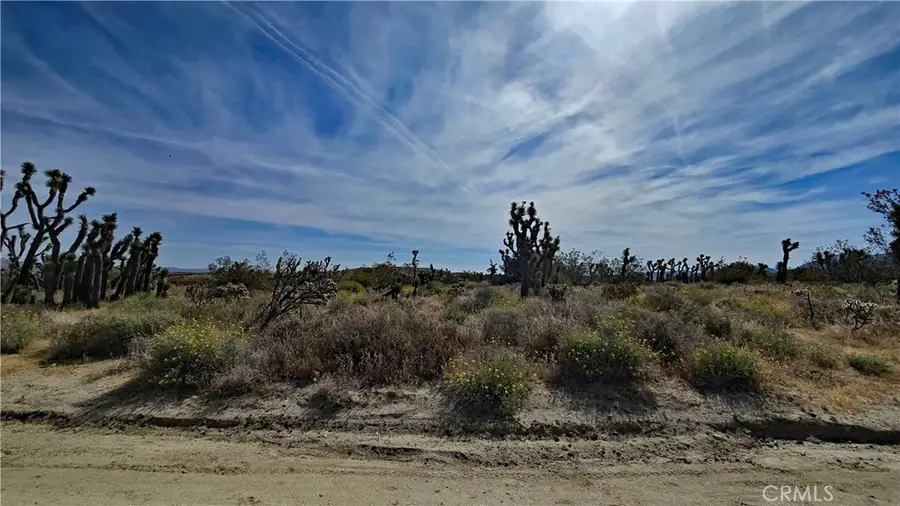 0 103rd St East Vicinity W14, Juniper Hills, CA 93543 - #3