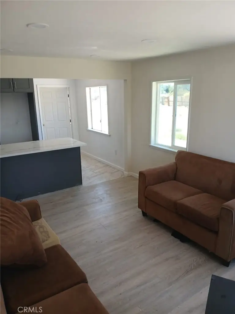11028 E Avenue R, Littlerock, CA 93543 - #2