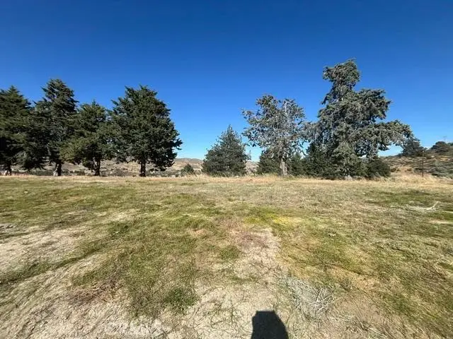 40007 92nd Street W, Leona Valley, CA 93551 - #1