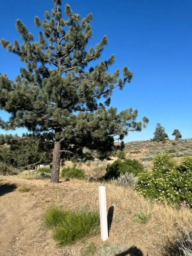40007 92nd Street W, Leona Valley, CA 93551 - #2