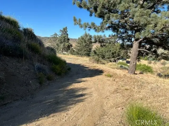 40007 92nd Street W, Leona Valley, CA 93551 - #3