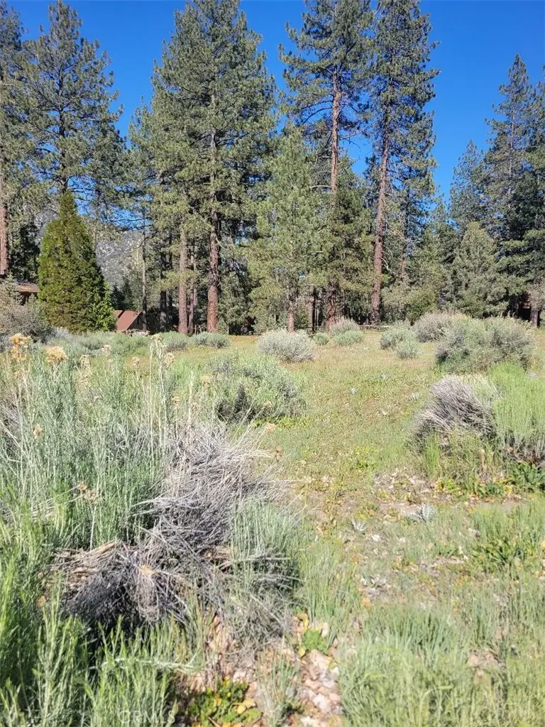 2612 Brentwood, Pine Mountain Club, CA 93222 - #1