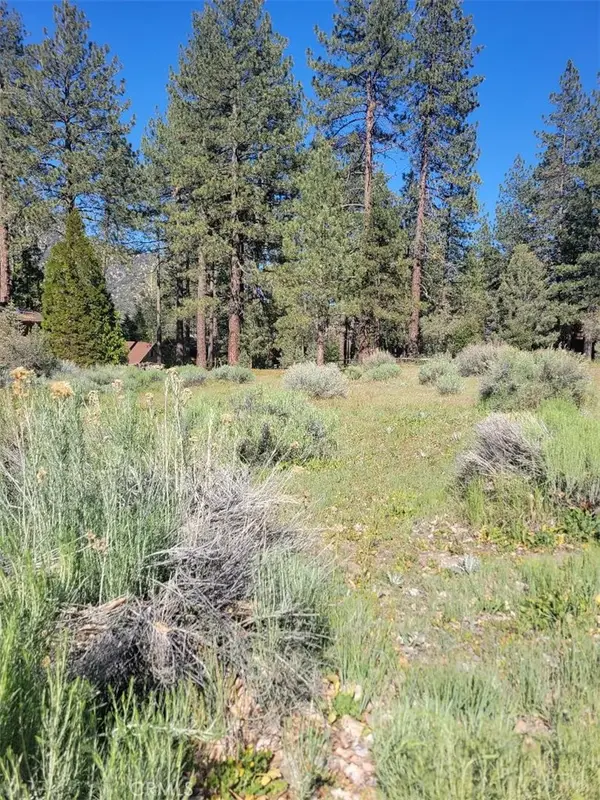 2612 Brentwood, Pine Mountain Club, CA 93222