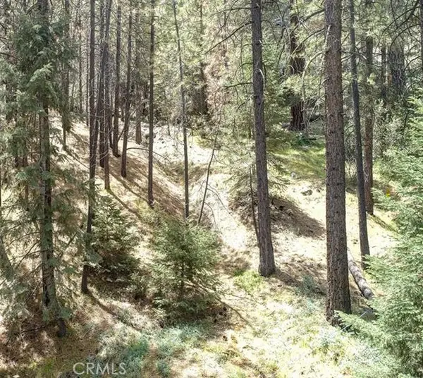 1316 Zermatt Court, Pine Mountain Club, CA 93222