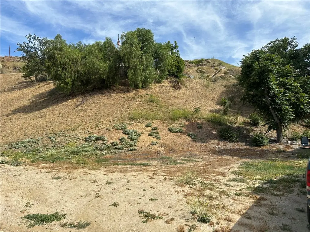 30021 Buchanan, Castaic, CA 91384 - #1