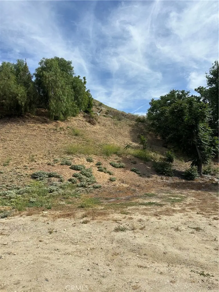 30021 Buchanan, Castaic, CA 91384 - #2