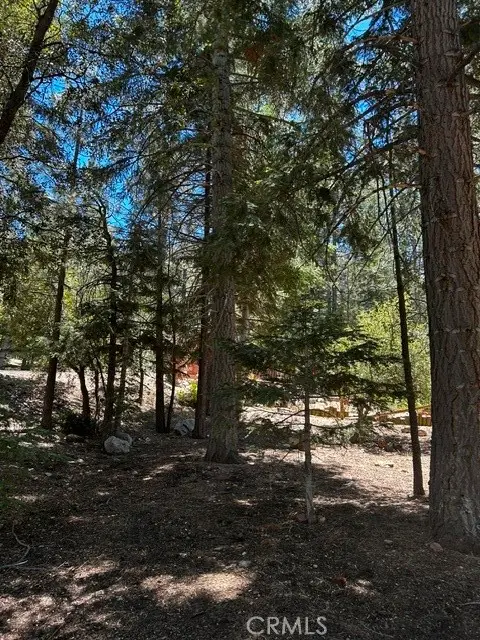 1221 Azalea Dr, Pine Mountain Club, CA 93222 - #2
