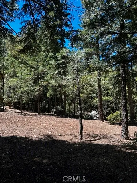 1221 Azalea Dr, Pine Mountain Club, CA 93222 - #3