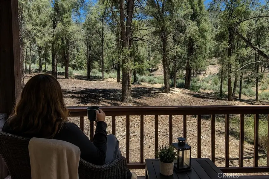 16525 Grizzly Drive, Pine Mountain Club, CA 93222 - #2