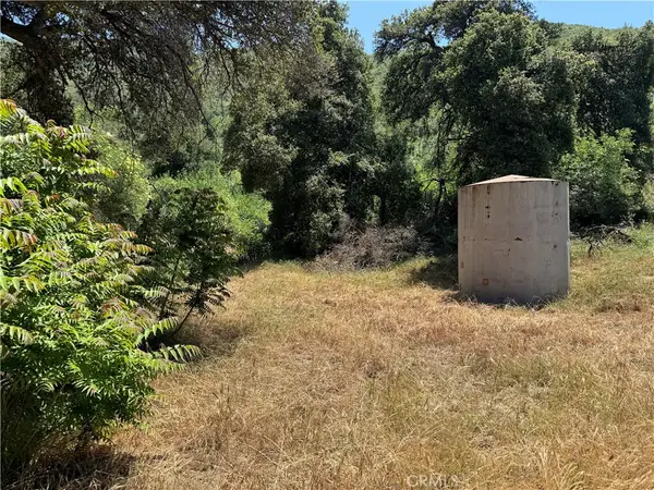 0 San Francisquito Canyon Road, Green Valley, CA 91390