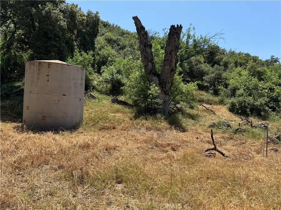 0 San Francisquito Canyon Road, Green Valley, CA 91390 - #3