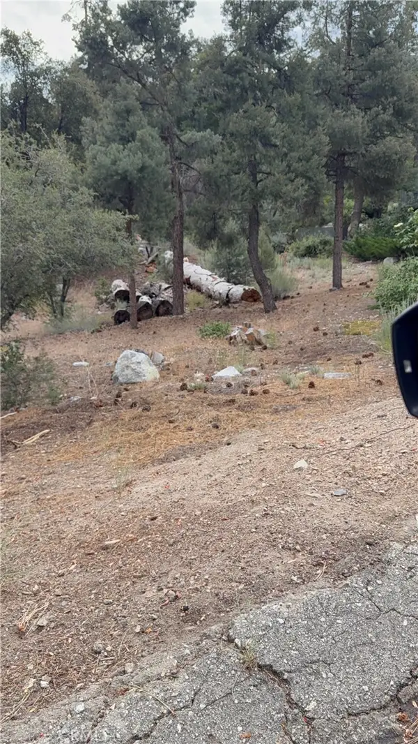 1620 Zion, Pine Mountain Club, CA 93222