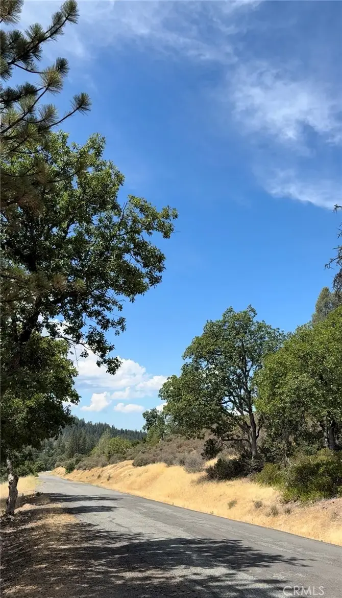 1651 Summit Creek Road, Hayfork, CA 96041 - #3