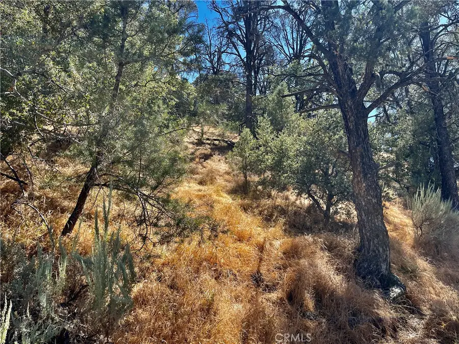 0 Short Trail, Frazier Park, CA 93225 - #2