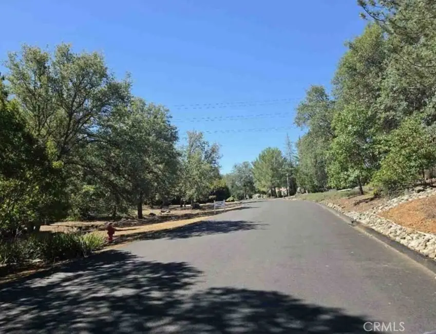 4175 Vega, Shingle Springs, CA 95682 - #3
