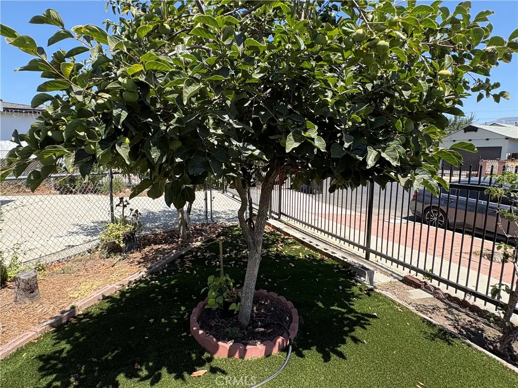 11241 De Haven Ave., Pacoima, CA 91331 - #1