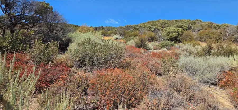 0 Lost Valley Road, Leona Valley, CA 93551 - #2