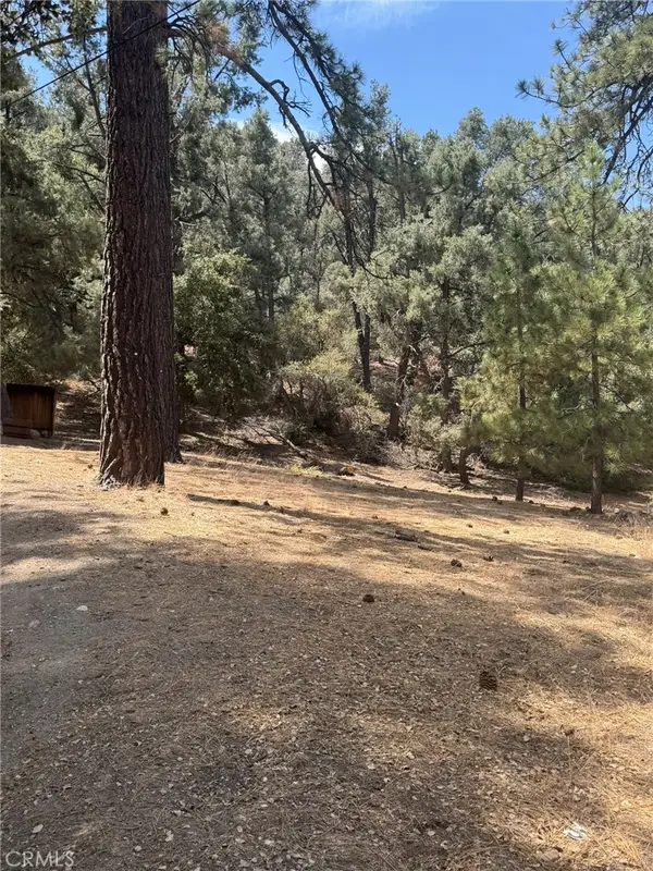 2019 Freeman, Pine Mountain Club, CA 93222