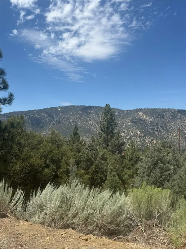 1824 Pioneer Way, Pine Mountain Club, CA 93222