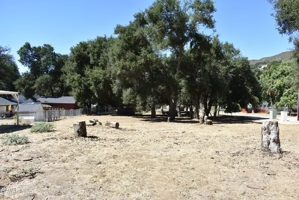 15206 Punky Canyon & Calle El Bosque, Green Valley, CA 91350