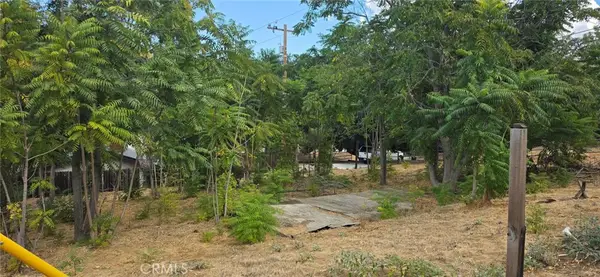 15407 Calle Maleza, Green Valley, CA 91390