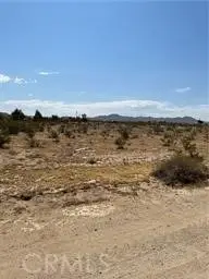 0 Ne Ledbiry, Oro Grande, CA 92368