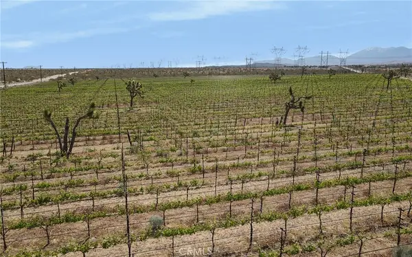 0 Ft Tejon Vic 82nd St E, Palmdale, CA 91352