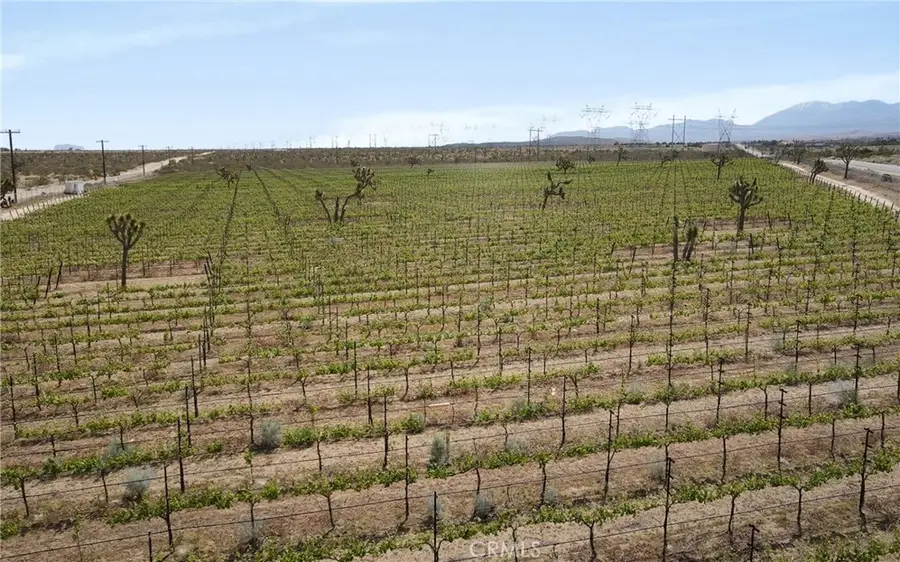 0 Ft Tejon Vic 82nd St E, Palmdale, CA 91352 - #2