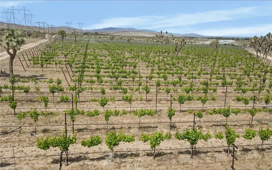 0 Ft Tejon Vic 82nd St E, Palmdale, CA 91352 - #3