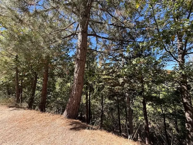 0 Sandalwood Drive, Lake Arrowhead, CA 92352 - #3